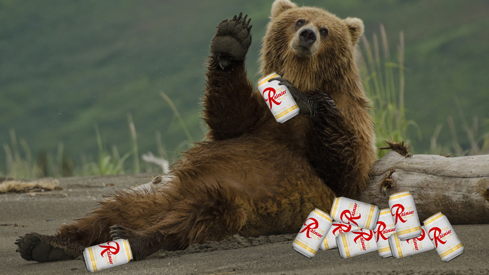 BEER BEAR.jpg