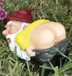 naughty-gnome2.jpg