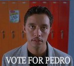 vote-for-pedro.jpg