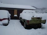 snow2009002.jpg