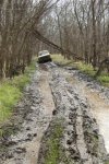 Muddin' April 09 106 (Medium) (Small) (Small).jpg