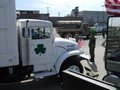 Shamrock_043.jpg