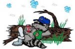 drunk racoon.jpg