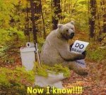 bear poopoo.jpg