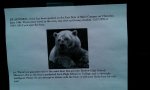 Alaskan College's BEAR WARNING.jpg