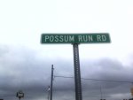 Possum.jpg