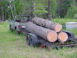 chevy blazer 0609 David's tree.jpg