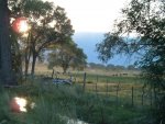 Country Road in Bishop California.jpg