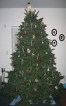 christmas_tree_2013_4.jpg