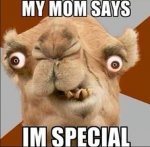 I'm Special.jpg