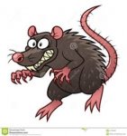 rat (1).jpg