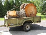 tree in trailer.jpg