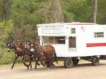 winnebago horse.png