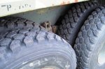 Michelins0010.jpg