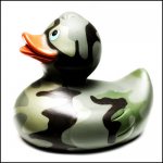 Camo Duck.jpg