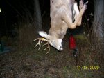 09 deer 004.jpg